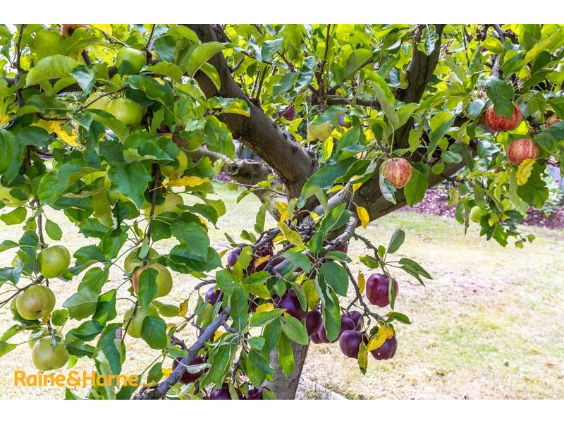 7 Charles Eaton Court, Huntingfield TAS 7055