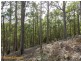 149 Umfrevilles Road, Kaoota TAS 7150