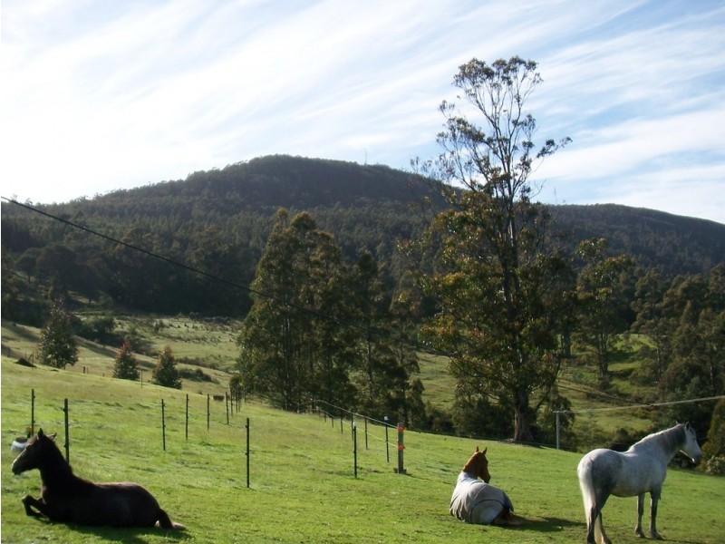 149 Umfrevilles Road, Kaoota TAS 7150