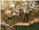 41 Nicholas Drive, Kingston Beach TAS 7050