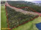 61 Slatterys, Electrona TAS 7054