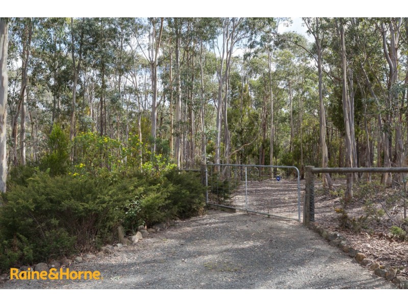 61 Slatterys, Electrona TAS 7054