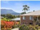 11 Harris Court, Kingston TAS 7050