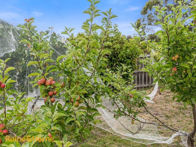 2040 Channel Highway, Electrona TAS 7054