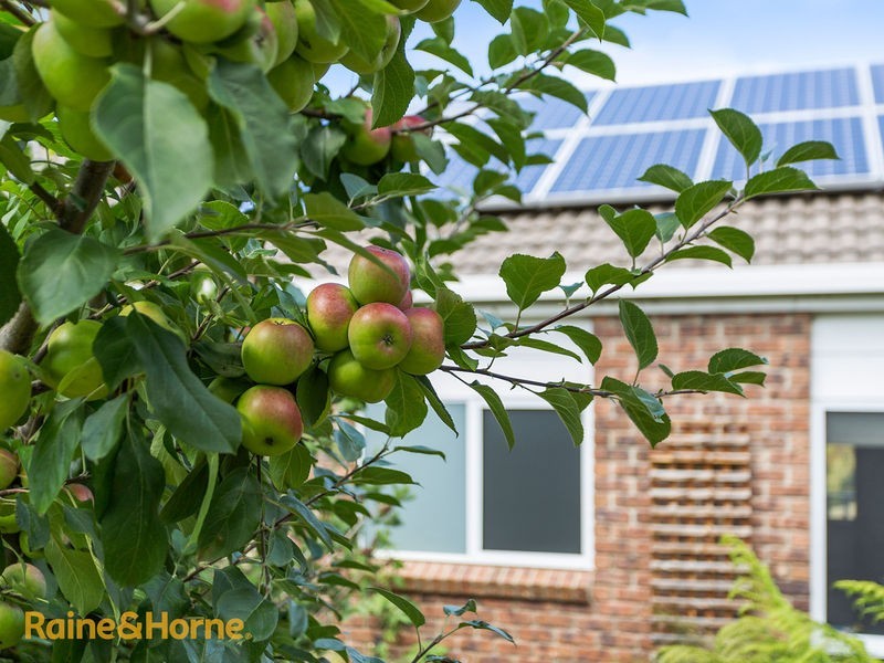 19 Stirling Avenue, Blackmans Bay TAS 7052