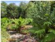 19 Stirling Avenue, Blackmans Bay TAS 7052