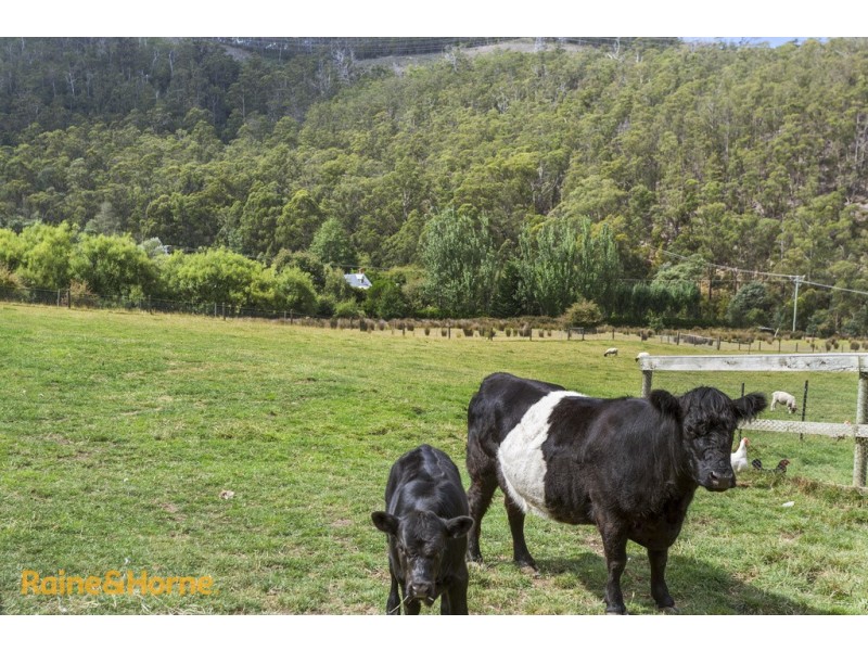 36 Gryces Road, Kingston TAS 7050