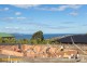 1/20 Cider Gum Drive, Blackmans Bay TAS 7052