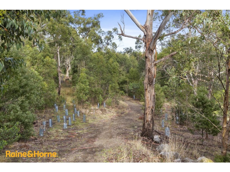 10 Malachi Drive, Kingston TAS 7050