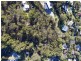 7 Heath Court, Kingston Beach TAS 7050