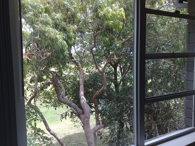 53 Caronia Ave, Woolooware NSW 2230