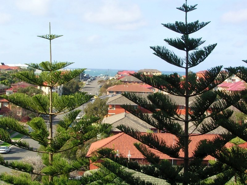 39 Wyanbah Road, Cronulla NSW 2230