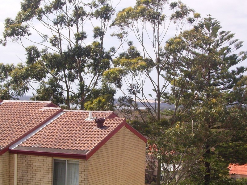 170 Willarong Road, Caringbah NSW 2229
