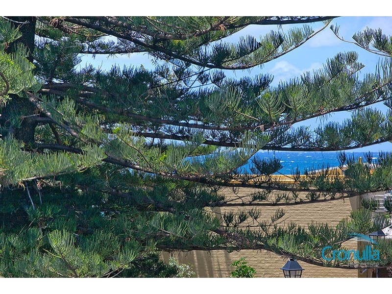 10/139 Elouera Rd, Cronulla NSW 2230