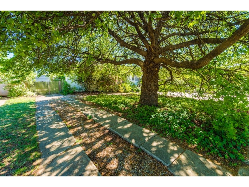 38 Lumeah Street, Narrabundah ACT 2604