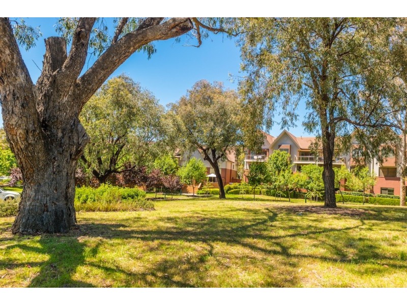 3/15 Eldridge Crescent, Garran ACT 2605