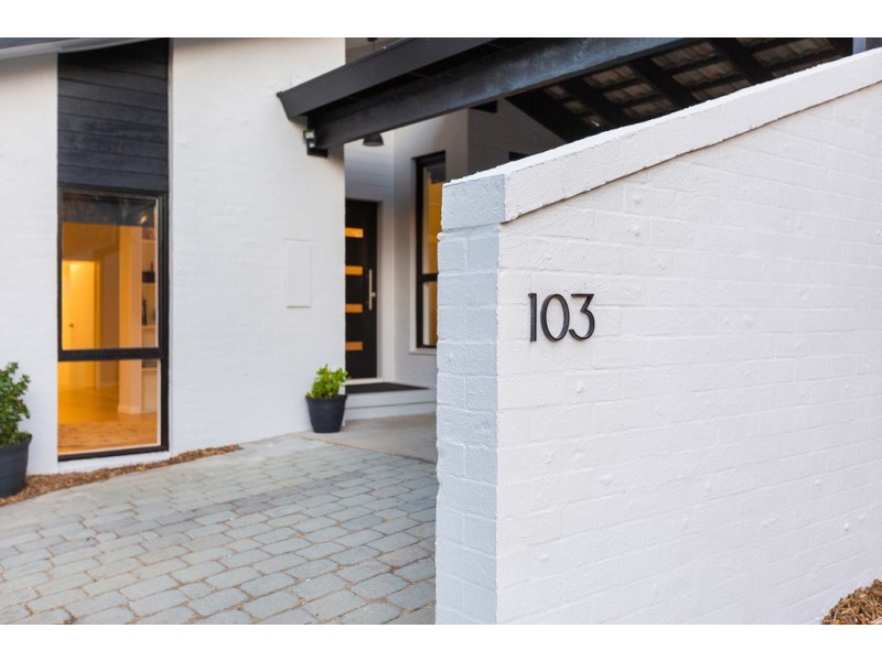 103 Dexter Street, Cook ACT 2614