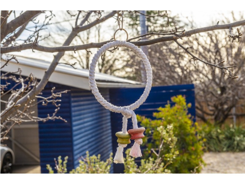 11 Warramoo Crescent, Narrabundah ACT 2604