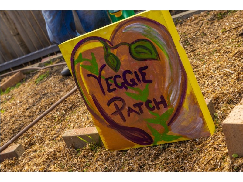 11 Warramoo Crescent, Narrabundah ACT 2604