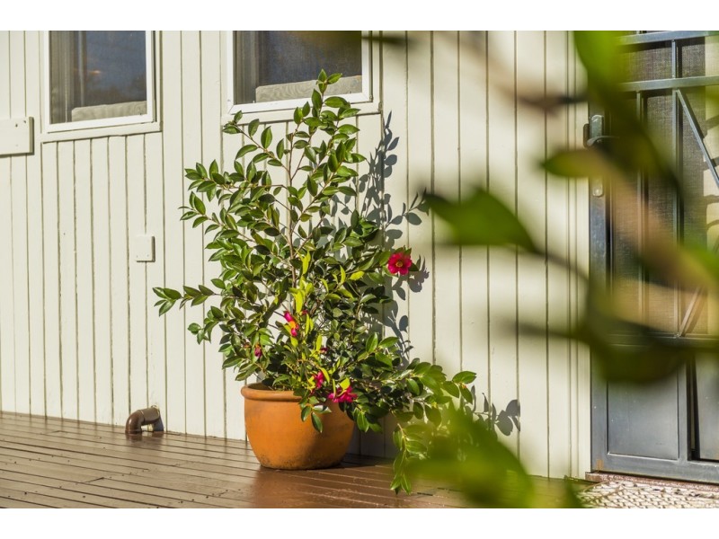 17 Tallara Parkway, Narrabundah ACT 2604