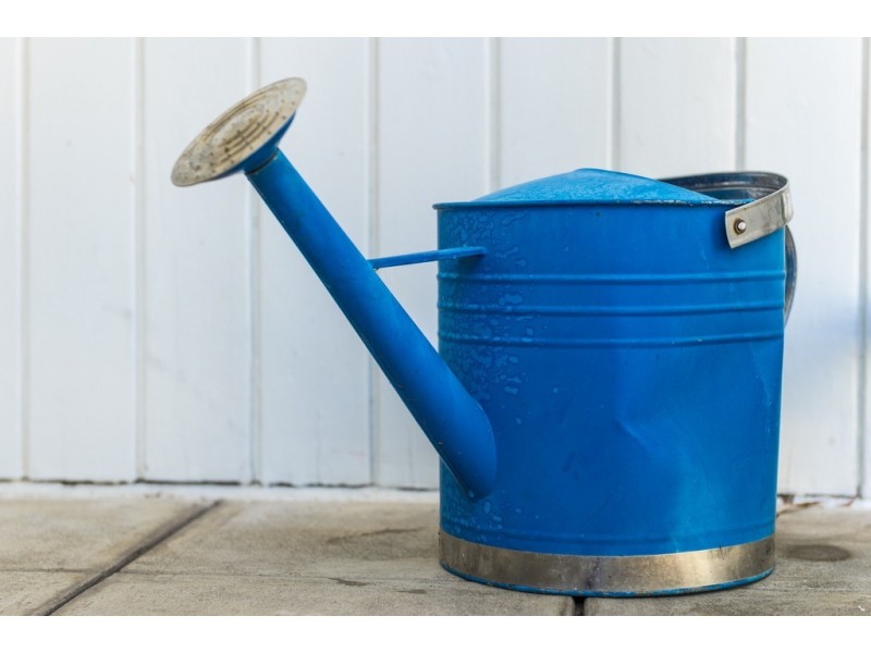 17 Tallara Parkway, Narrabundah ACT 2604