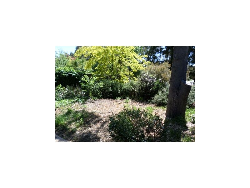 5/3 Lochbuy Street, Macquarie ACT 2614