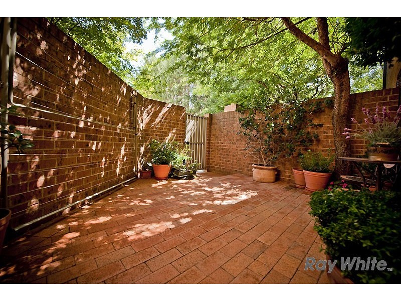 24/3 Ovens Street, Griffith ACT 2603