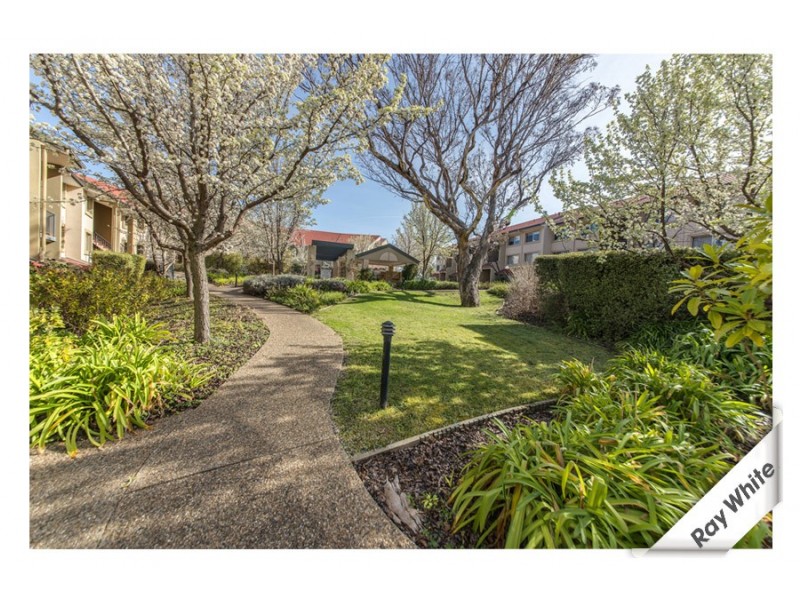 36/34 Leahy Close, Narrabundah ACT 2604