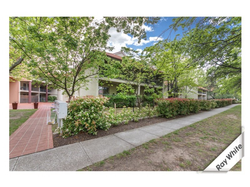 166/ 81 Kennedy Street, Kingston ACT 2604
