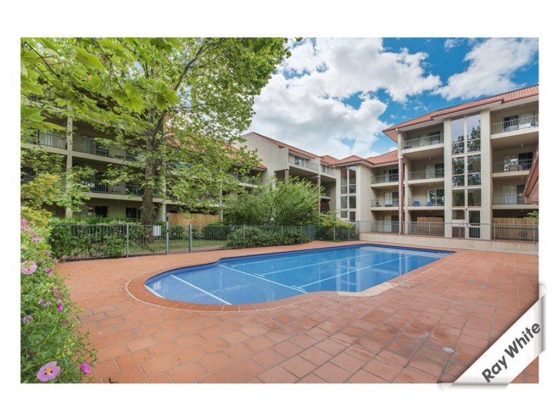 166/ 81 Kennedy Street, Kingston ACT 2604