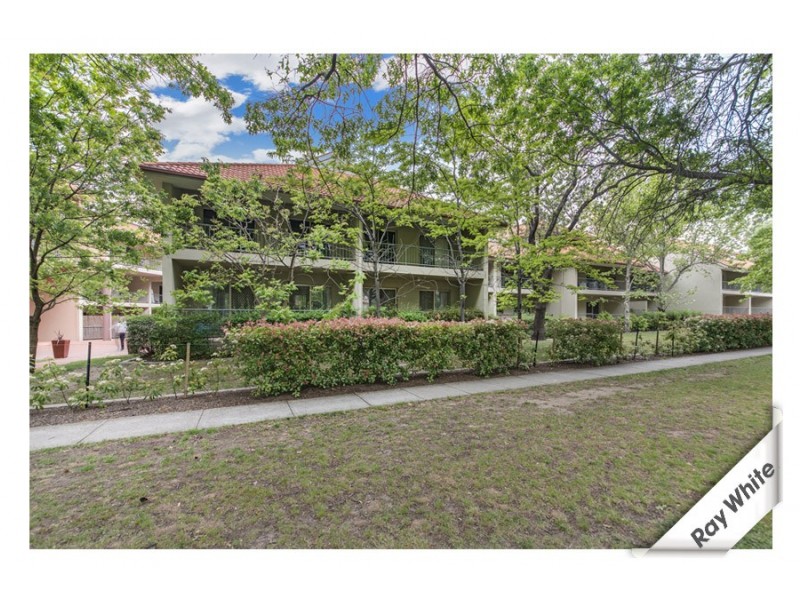 166/ 81 Kennedy Street, Kingston ACT 2604