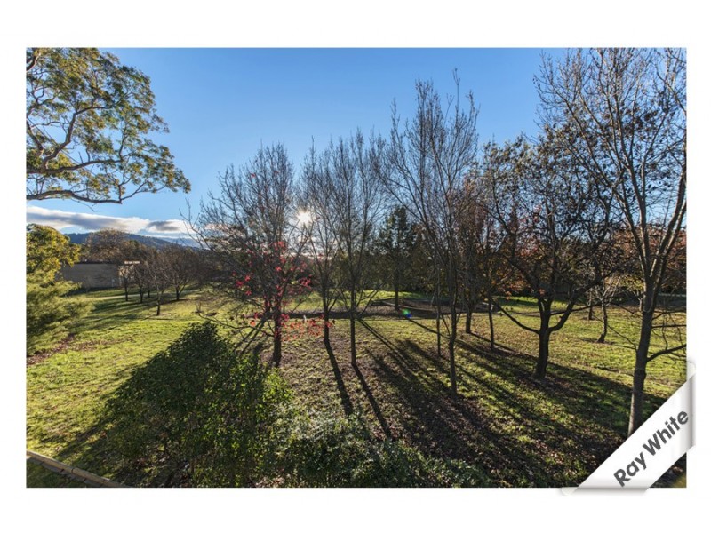 1/30 Gatton Street, Farrer ACT 2607