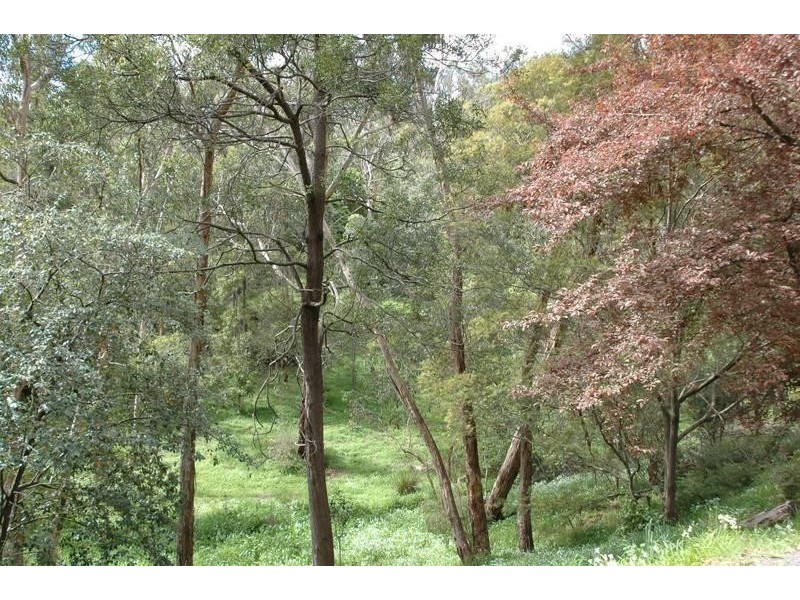 15-17 North Valley Road, Park Orchards VIC 3114