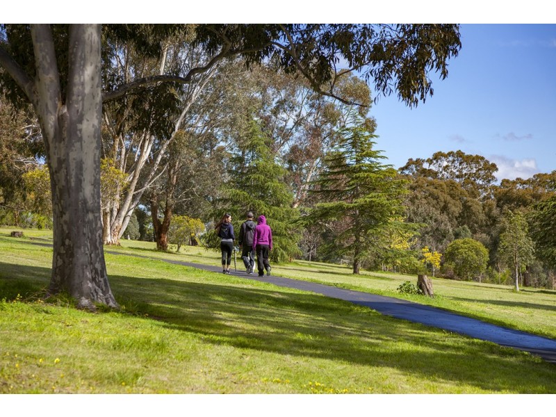 21 Hampshire Road, Doncaster VIC 3108