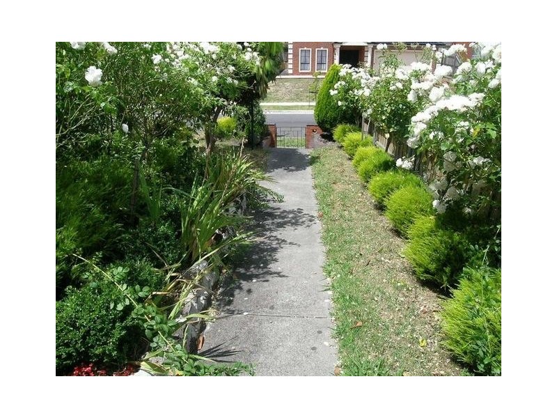 12 Carter Avenue, Nunawading VIC 3131
