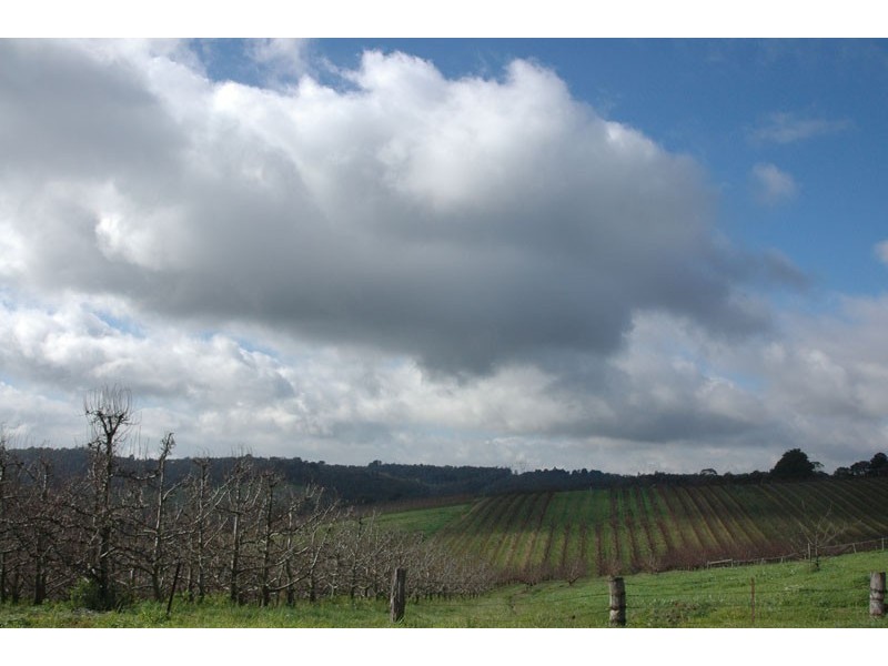 306 Tindals Road, Warrandyte VIC 3113