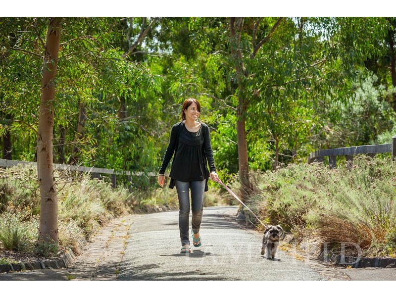 110/339 Mitcham Road, Mitcham VIC 3132