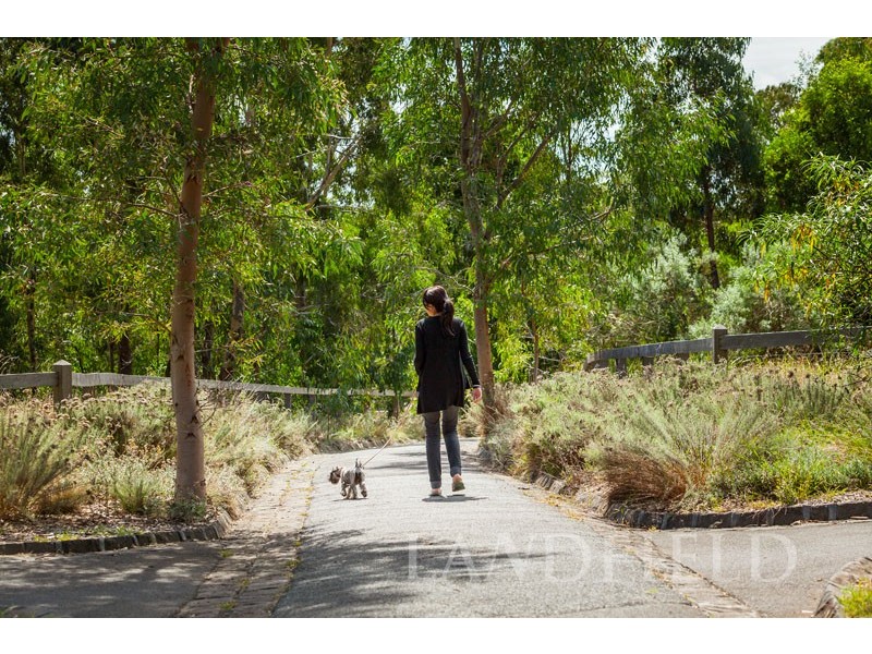 110/339 Mitcham Road, Mitcham VIC 3132