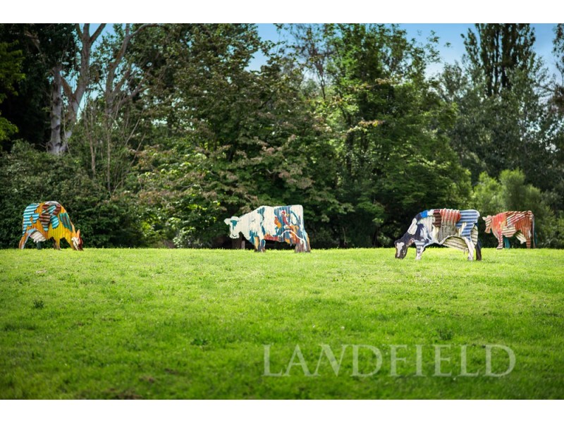 301/181 Manningham Road, Templestowe Lower VIC 3107