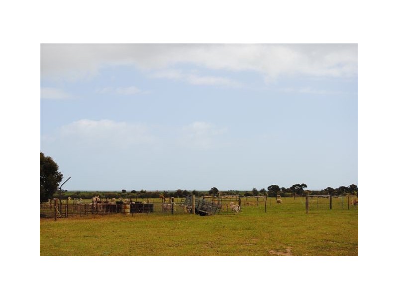 Section 763 Government Road, Wallaroo SA 5556