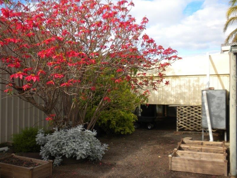 3 Adelaide Street, Wallaroo SA 5556