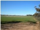 sec 297 and 298 Aerodrome Road, Bute SA 5560