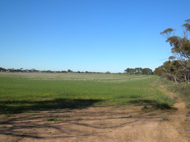 sec 297 and 298 Aerodrome Road, Bute SA 5560