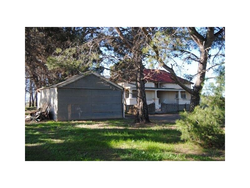 sec 297 and 298 Aerodrome Road, Bute SA 5560