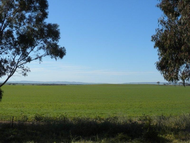 Lot 20 Kadina Road, Alford SA 5555