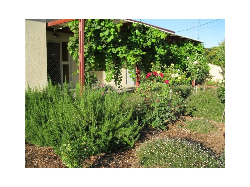 5 Lawrence Street, Kadina SA 5554