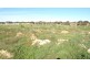 Lot 556 James Place, Moonta SA 5558
