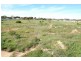 Lot 556 James Place, Moonta SA 5558