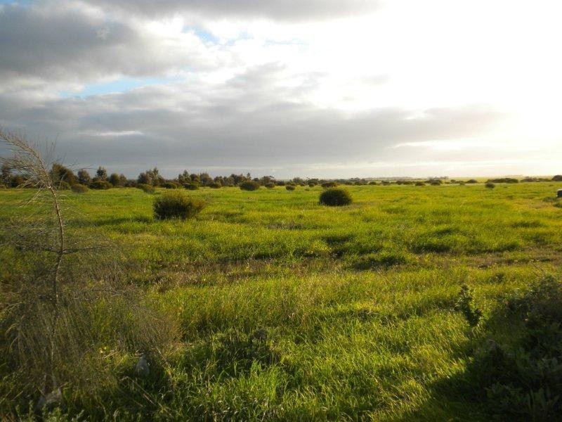 Section 393 Government Road, Kadina SA 5554