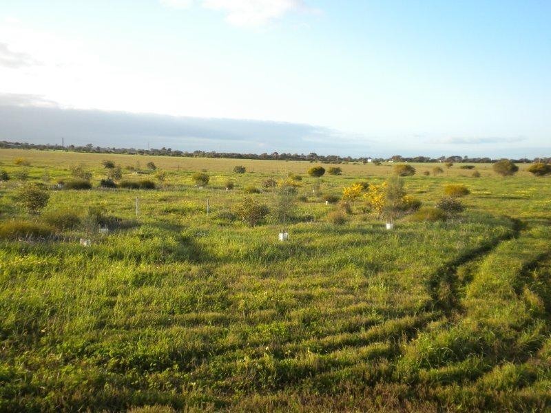 Section 393 Government Road, Kadina SA 5554